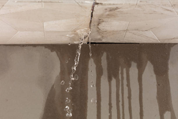 Professional Water Damage Repair technician working in Prosper, TX